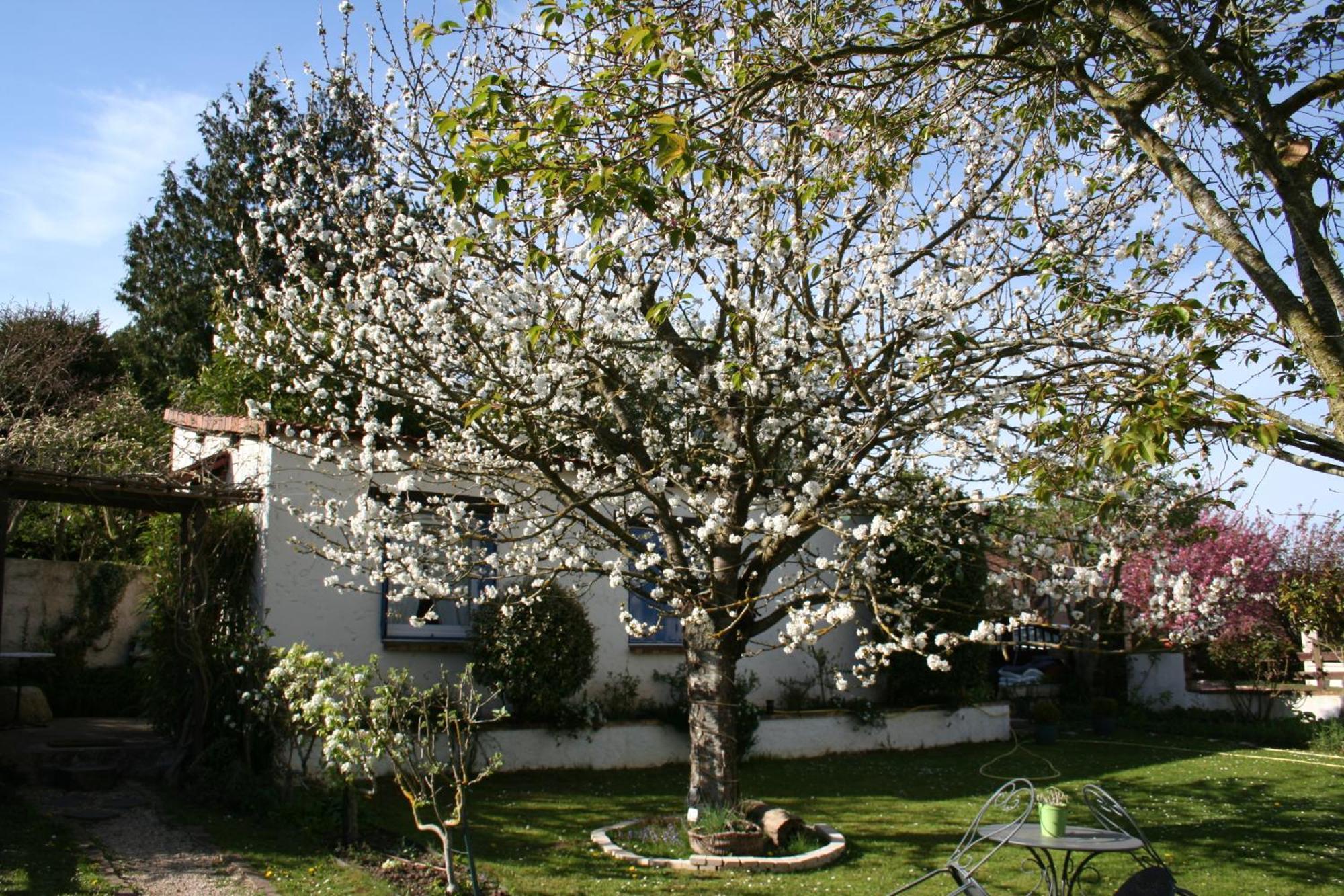 Bed and Breakfast Le Cerisier Mareil-Marly Exterior foto